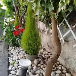 Apartmán Capri Sky Loft *