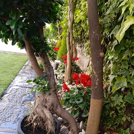 Capri Sky Loft Apartmán *