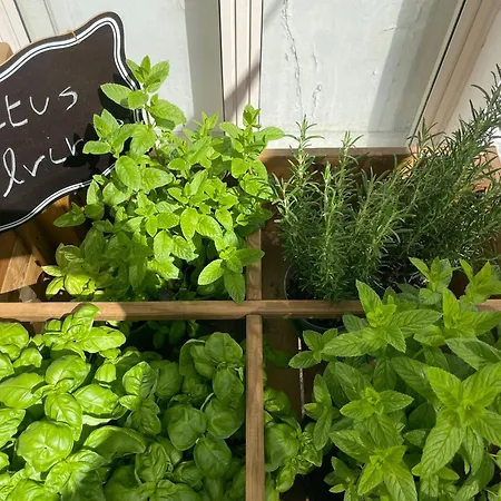 Apartmán Capri Sky Loft